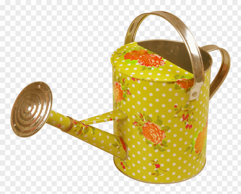 Bucket Watering Cans Gardening Furniture PNG