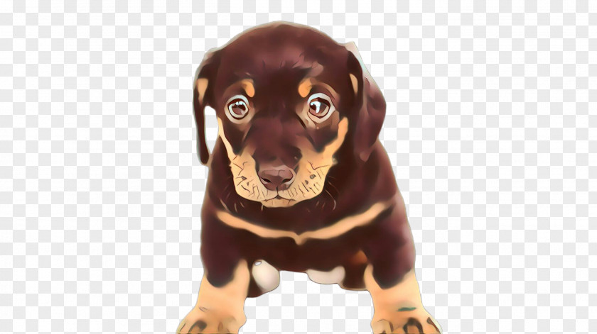 Hunting Dog Guard Cartoon PNG