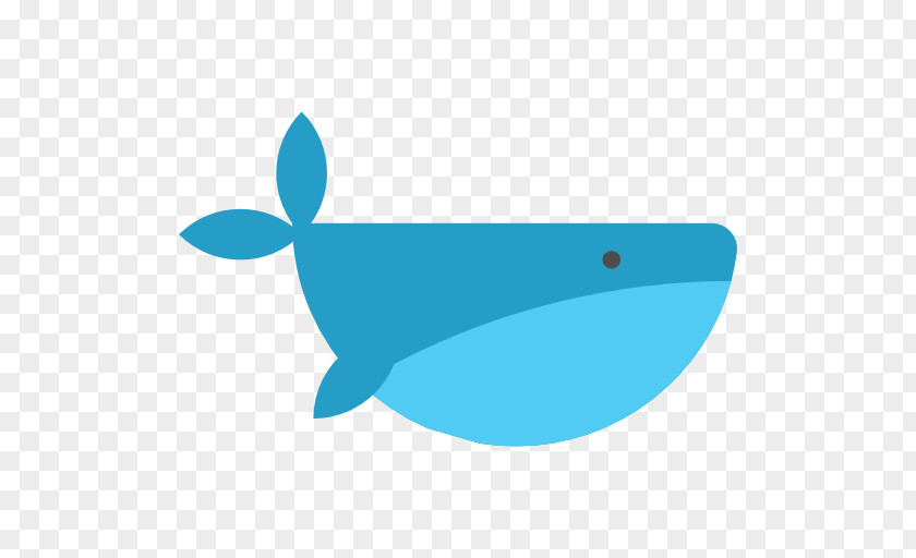 Nature Sea Animals Whale Vocalization Amazon.com Docker PNG