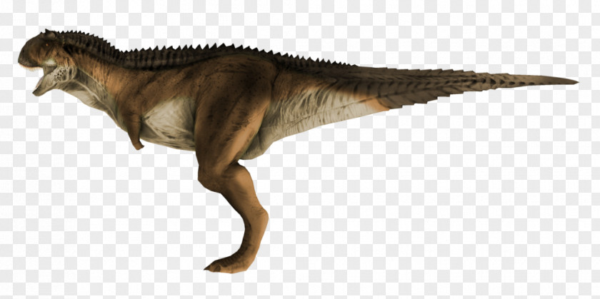 Red Thread Tyrannosaurus Carnotaurus Kulindadromeus Spinosaurus Pachycephalosaurus PNG