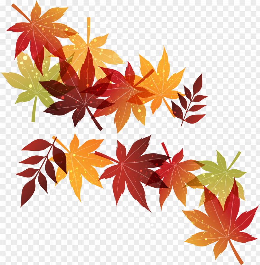 Withered Autumn Leaves Maple Leaf PNG