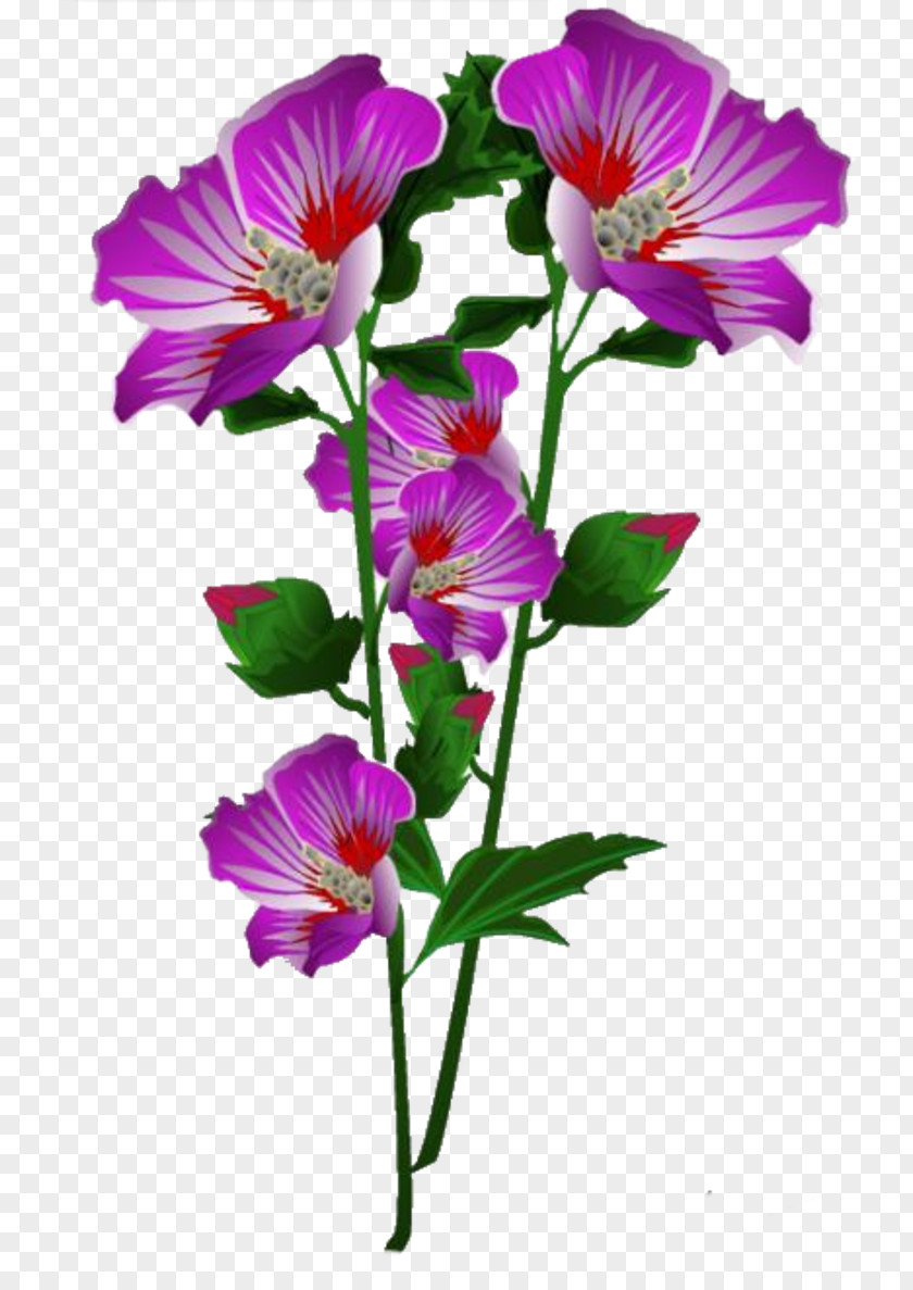 Flower Cut Flowers Drawing Floral Design Bouquet PNG