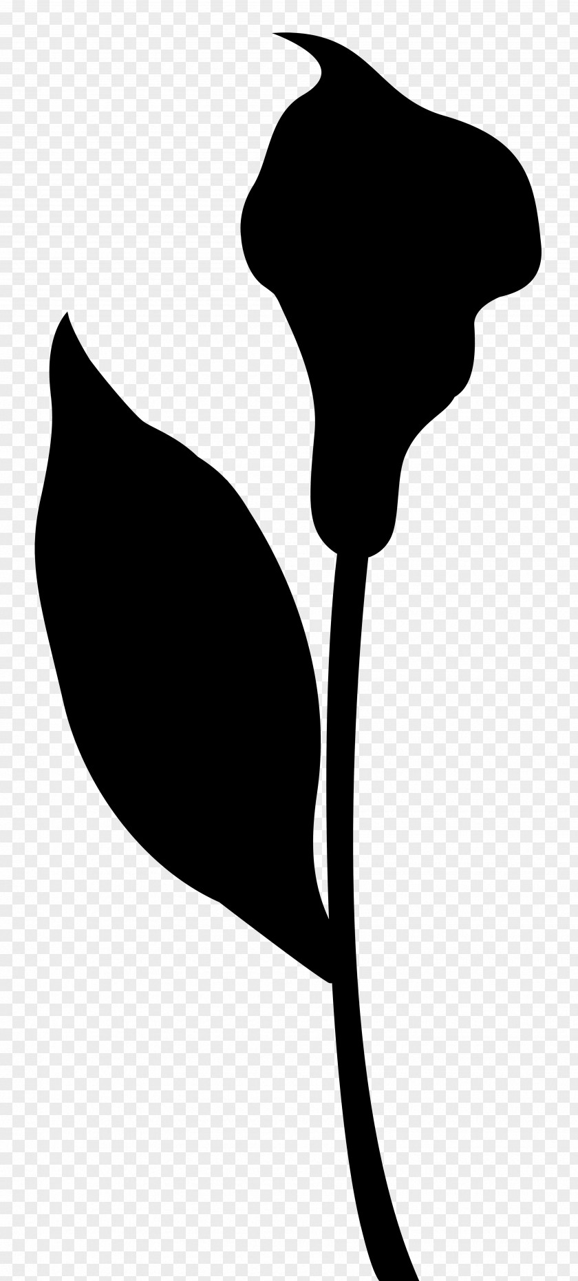 Leaf Clip Art Silhouette Line Neck PNG