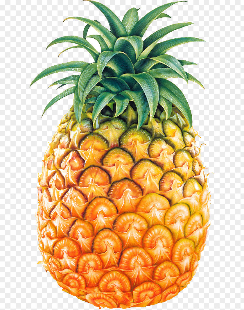 Pineapple Fruit Image Clip Art PNG