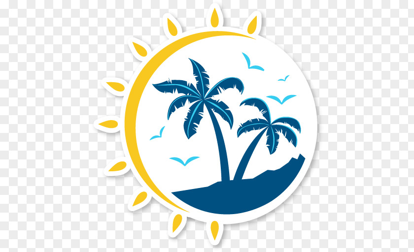 Palm Tree Plant Summer PNG