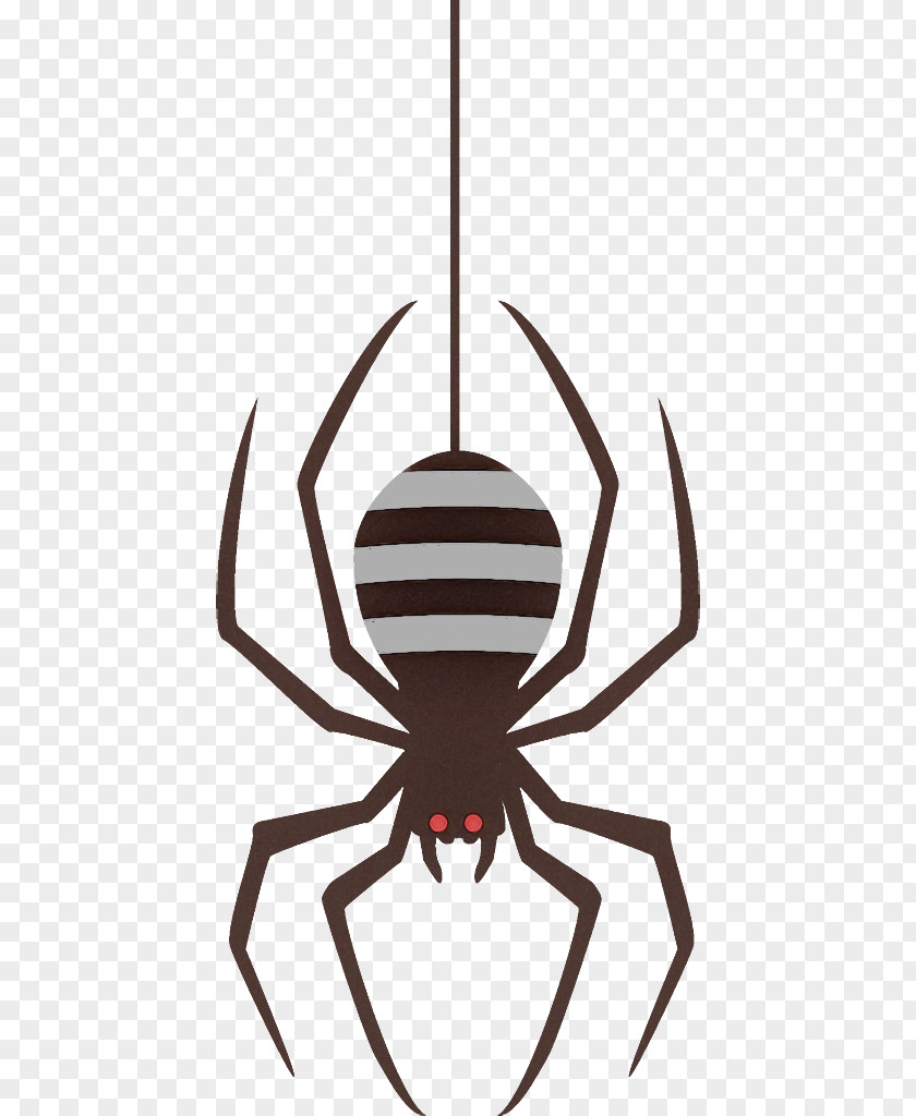 Spider Halloween PNG