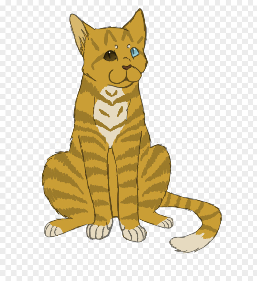 Tiger Whiskers Lion Red Fox Cat PNG
