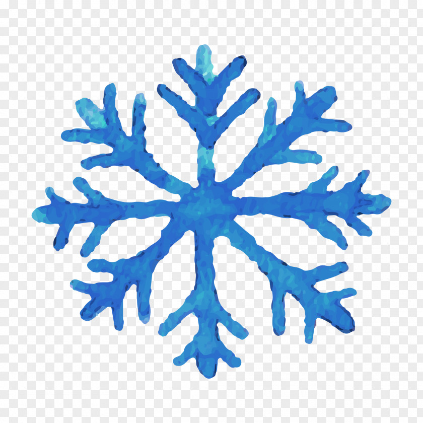 Vector Illustration Blue Snowflake Symbol Icon PNG