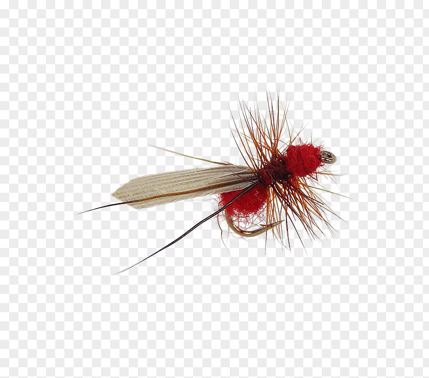 Fly Tying Artificial Fishing Holly Flies Ant PNG