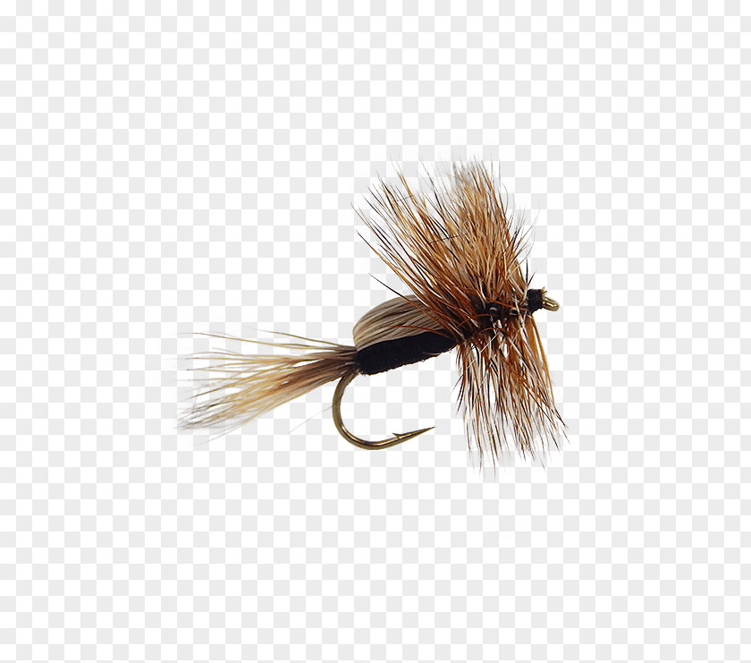 Fly Tying Artificial Quill Gordon Pheasant Tail Nymph Fishing PNG