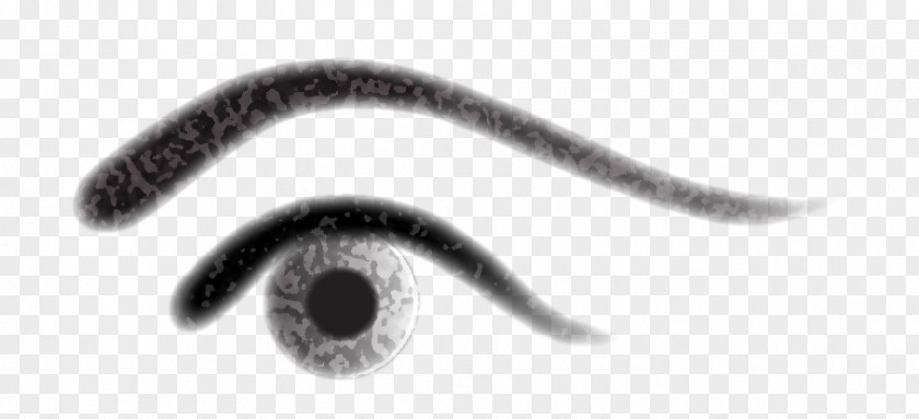 Right Eye Invertebrate Body Jewellery PNG