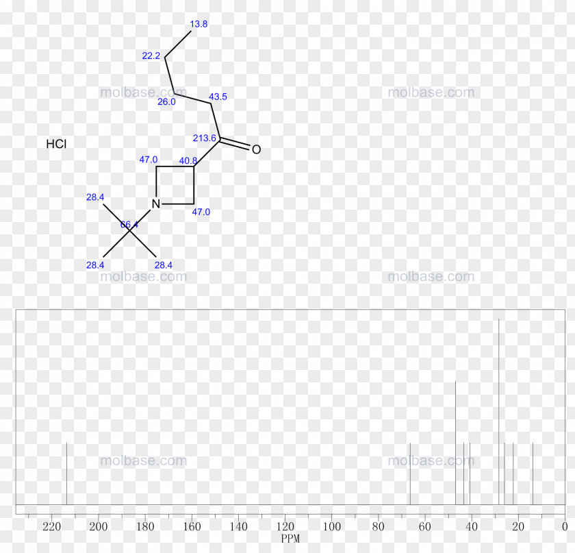 Buty Vector Product Design Angle Line Diagram PNG