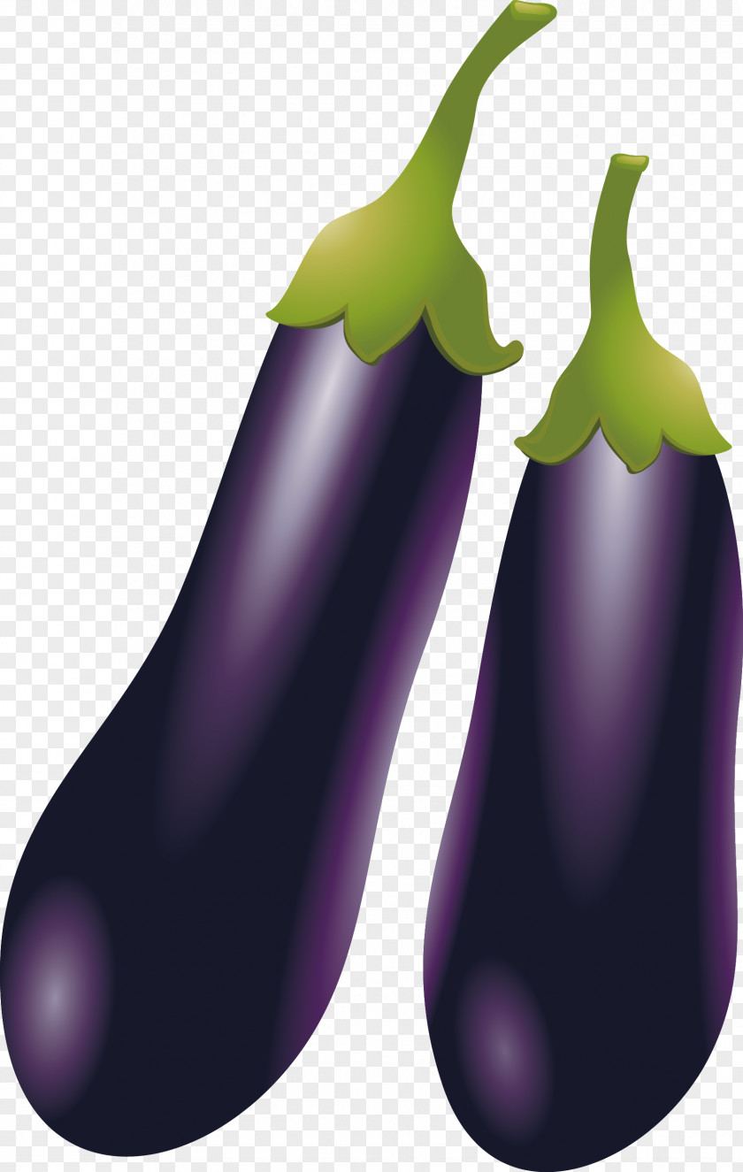 Eggplant Vector Zakuski Clip Art PNG