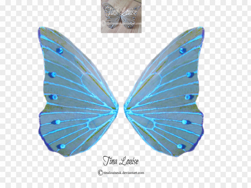 Fairy Wing Turquoise Microsoft Azure PNG
