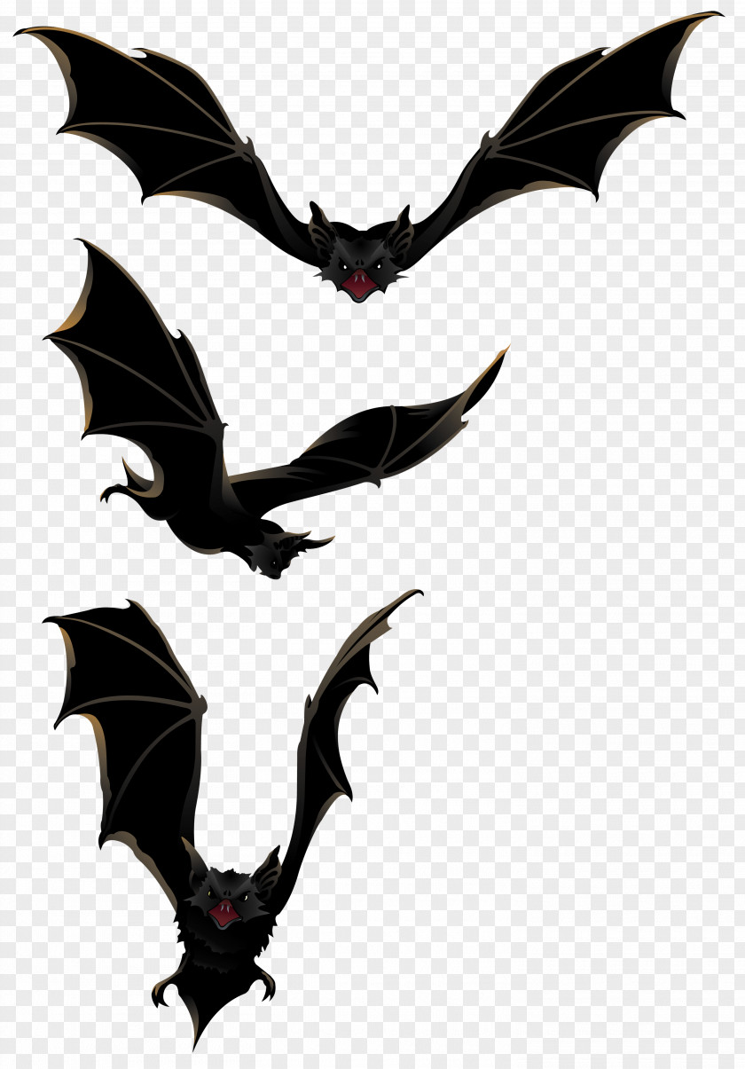 Halloween Pictures Bats Bat Clip Art PNG