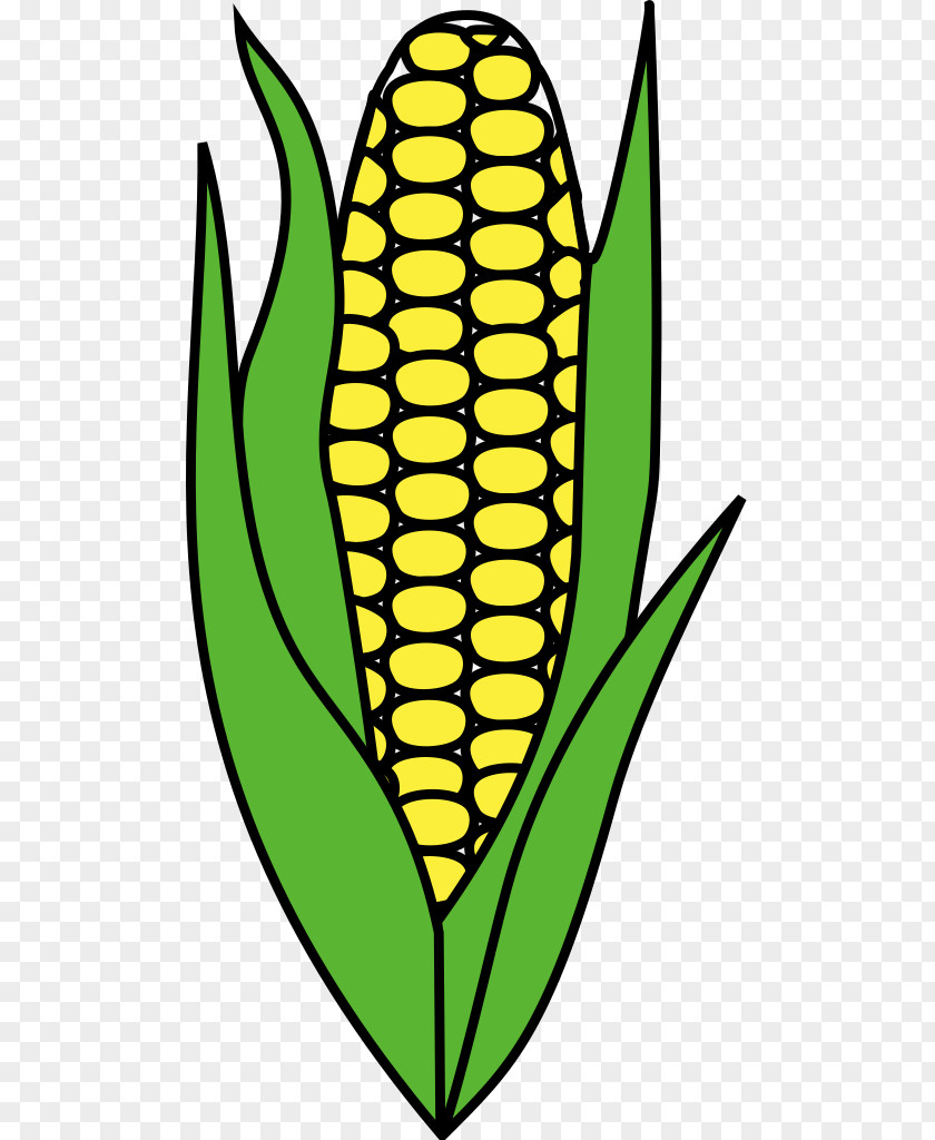 Maize Clip Art PNG