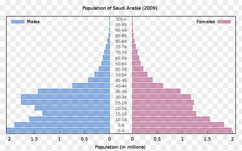 Married Bride And Groom Population Pyramid World Prospects: The 2008 Revision Europe PNG