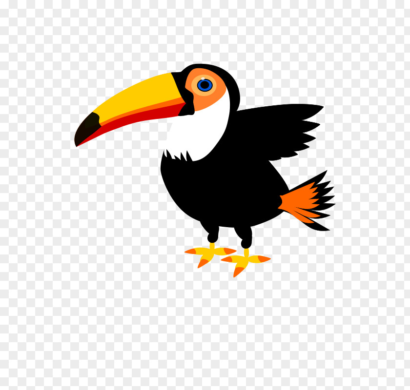 Parrot Toco Toucan Snake Clip Art PNG