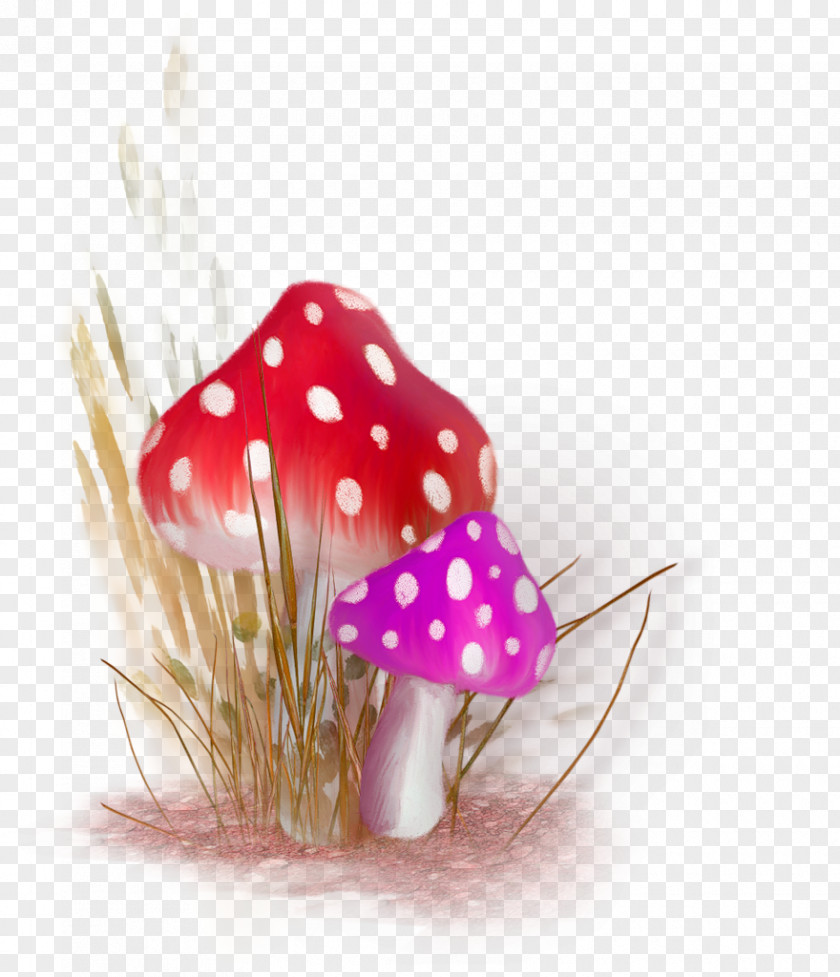 Red Cartoon Mushroom Grass Decoration Pattern PNG