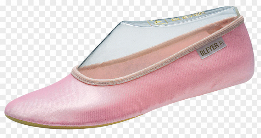 Satin Basanes Slip-on Shoe Ballet Flat PNG