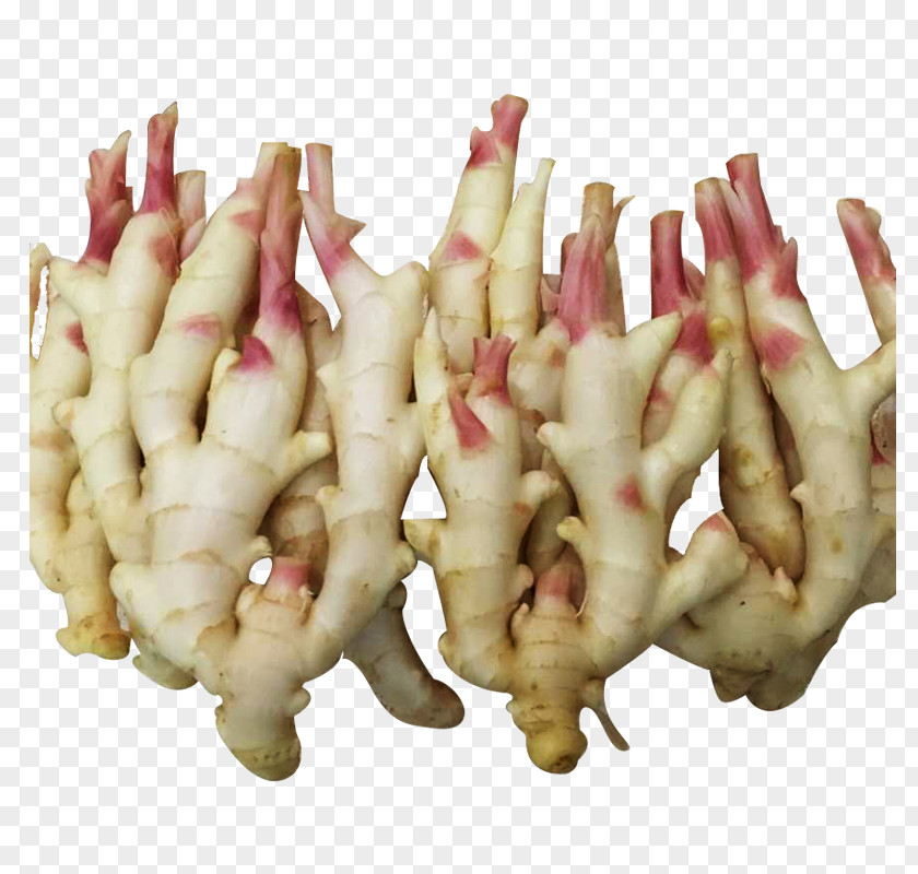 Yellow Ginger Root Vegetables Tuber PNG