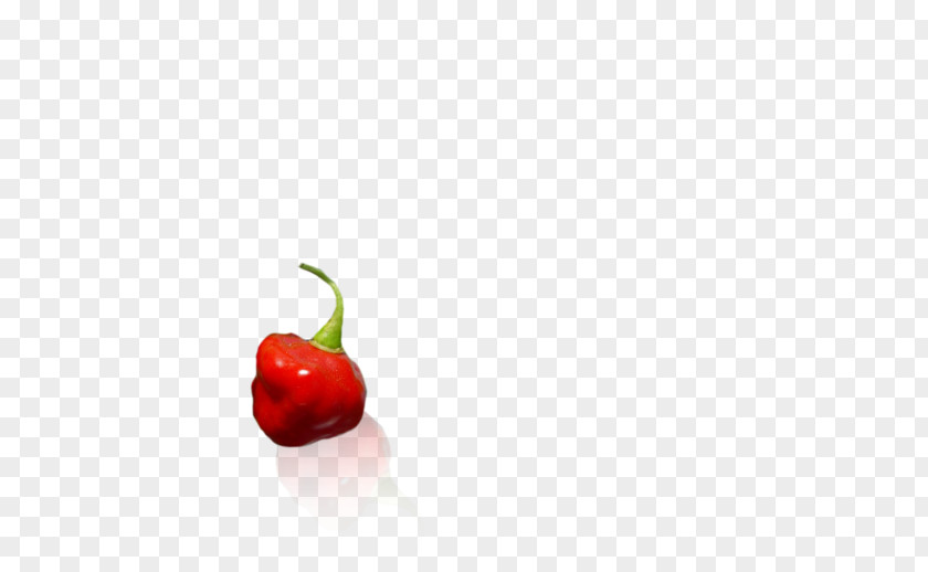 Chili Pepper Bell Cayenne Food Serrano PNG
