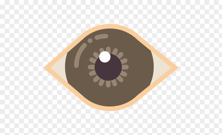 Eye Iris Ophthalmology Medicine Chiropractor PNG