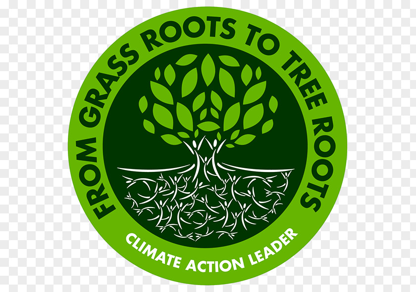 Tree Logo Root PNG