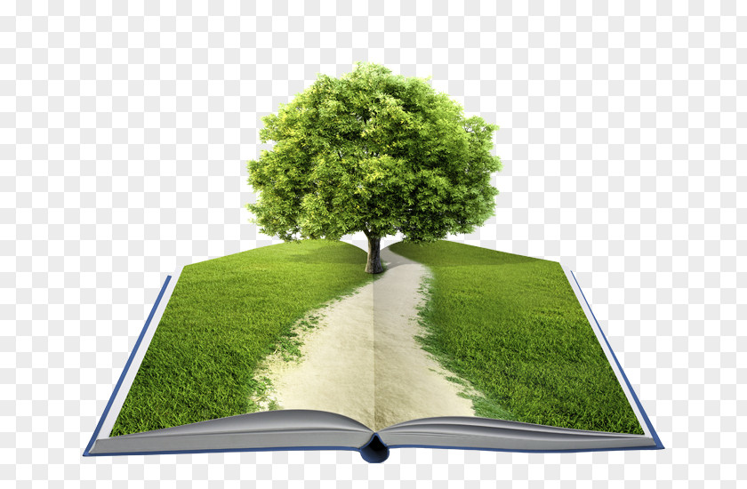 Book This Was A Tree: Ideas, Adventures, And Inspiration For Rediscovering The Natural World Stock Photography Royalty-free Shutterstock PNG