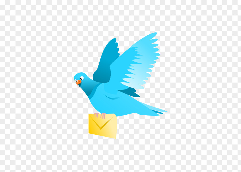E-Mail Cliparts Domestic Pigeon Flight Bird Columbidae Clip Art PNG
