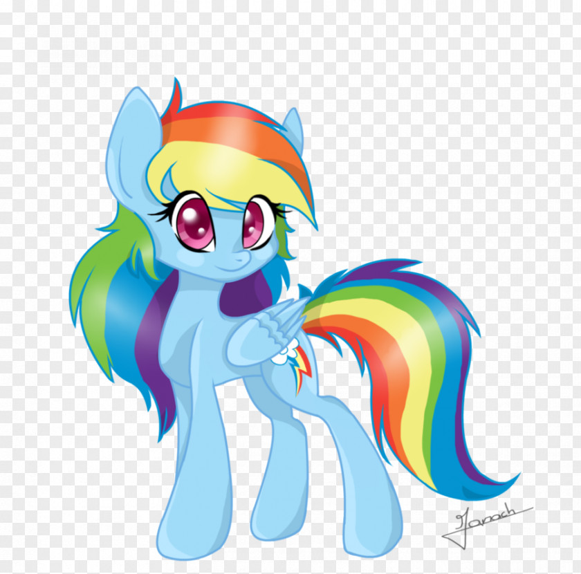Horse Pony Rainbow Dash Fluttershy PNG