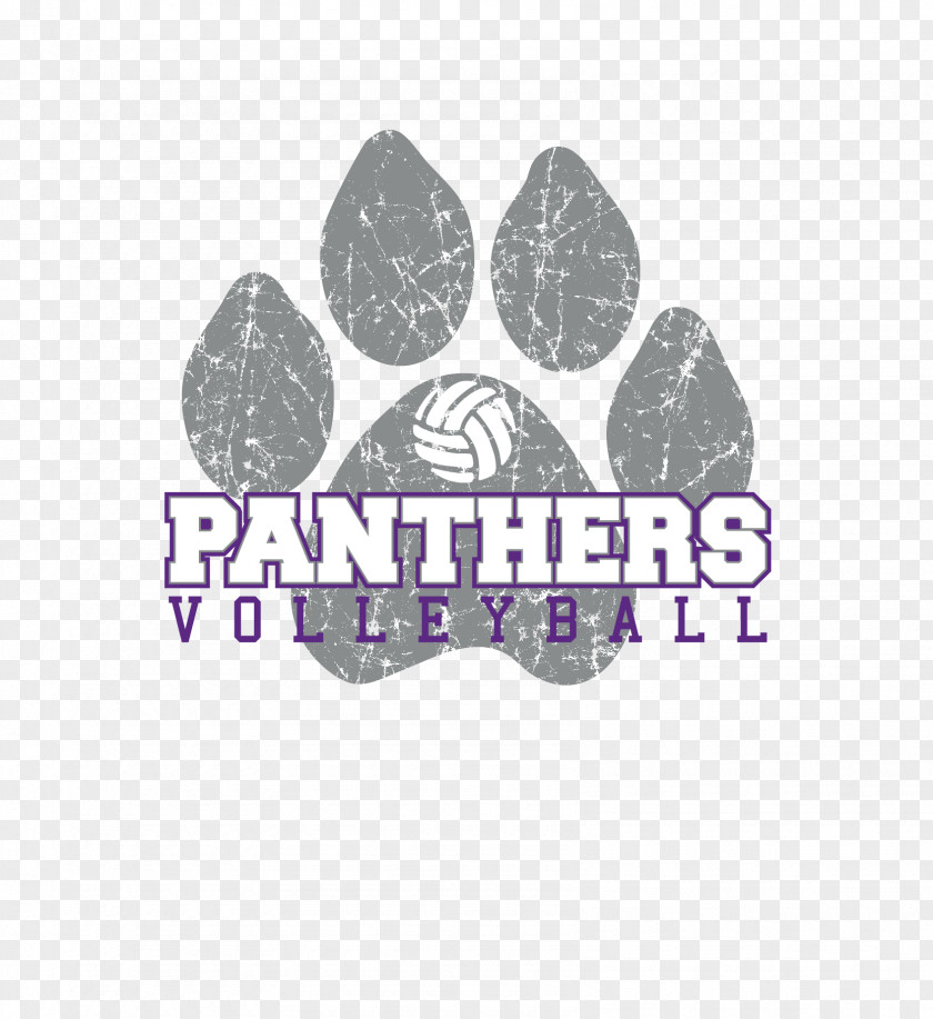 Playing Volleyball Pomona High School Sport Gymnastics Carolina Panthers PNG