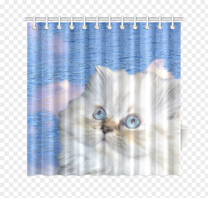 Water Curtain Cat Window Treatment Textile Kitten PNG