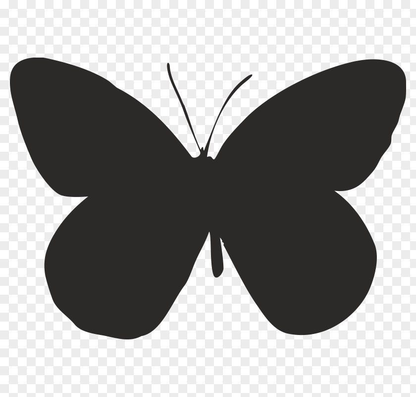 Butterfly Brush-footed Butterflies Moth Graphics Font PNG