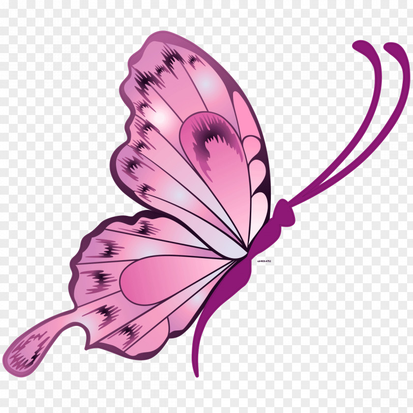 Butterfly Drawing Vector Graphics Sticker Illustration PNG