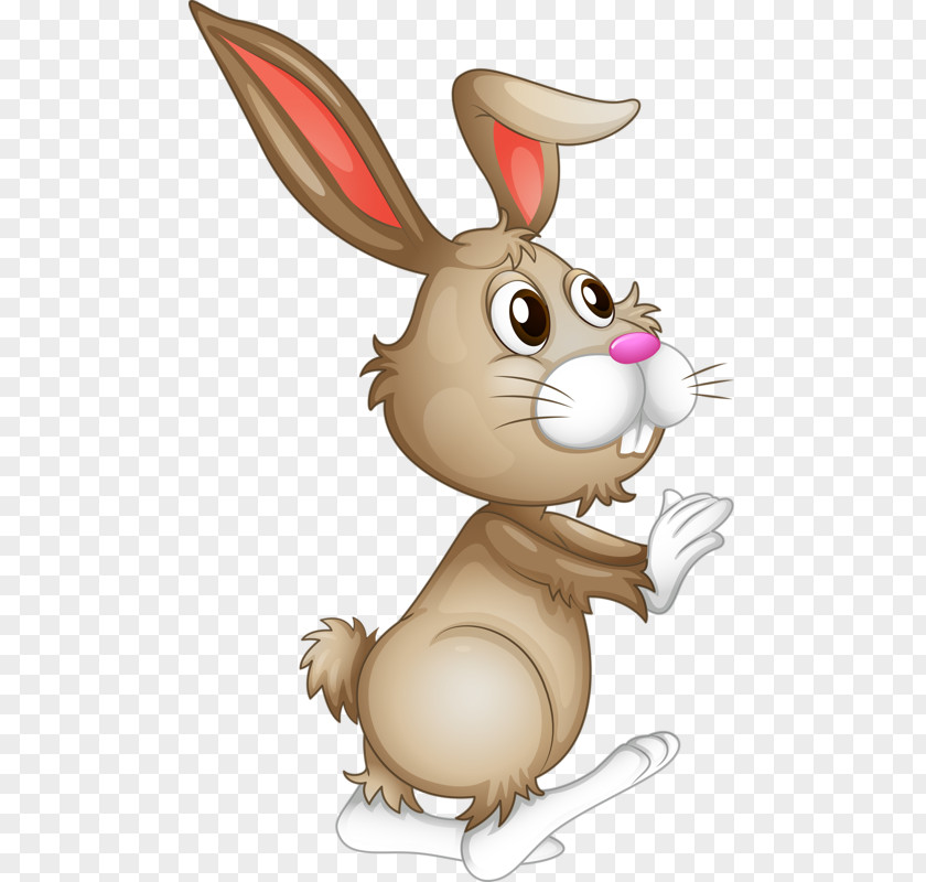 Cartoon Bunny Drawing Easter Clip Art PNG