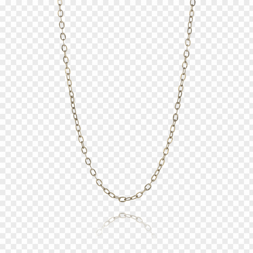 Chain Necklace Earring Jewellery Charms & Pendants PNG