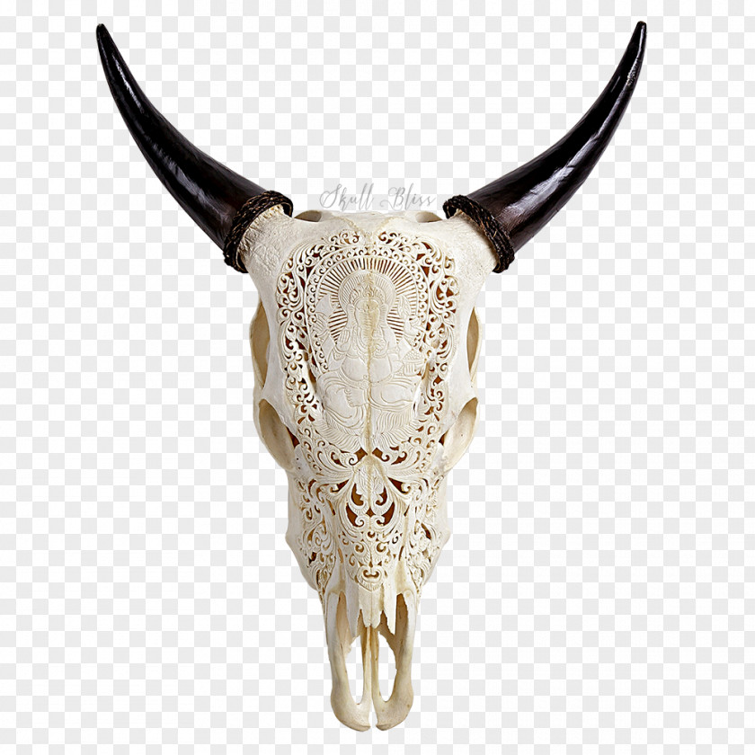 Ganesha Cattle Horn Skull Bone YouTube PNG