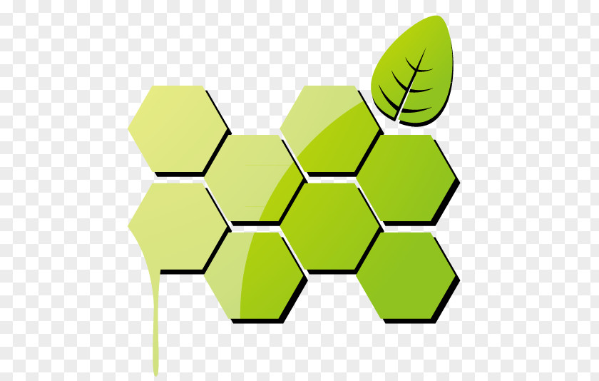 Honeycomb Lattice Beehive PNG