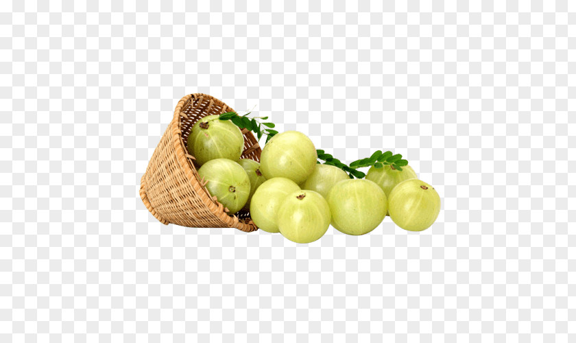 Natural Organic Indian Gooseberry Juice Tea Candy PNG