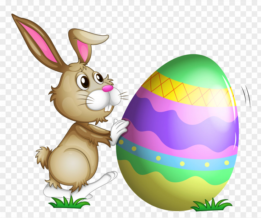 Rabbit Easter Bunny Clip Art Drawing PNG