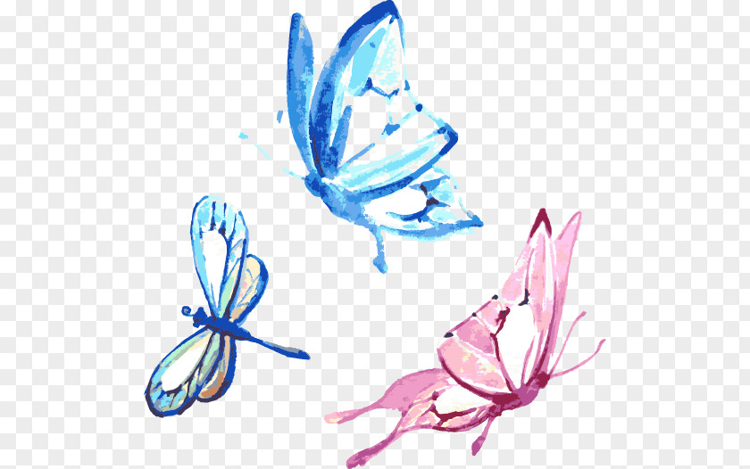 Drawing Butterfly Watercolor Painting Graphic Design PNG