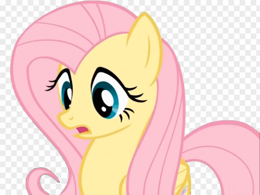 Fluttershy Crying Pony Cutie Mark Crusaders PNG