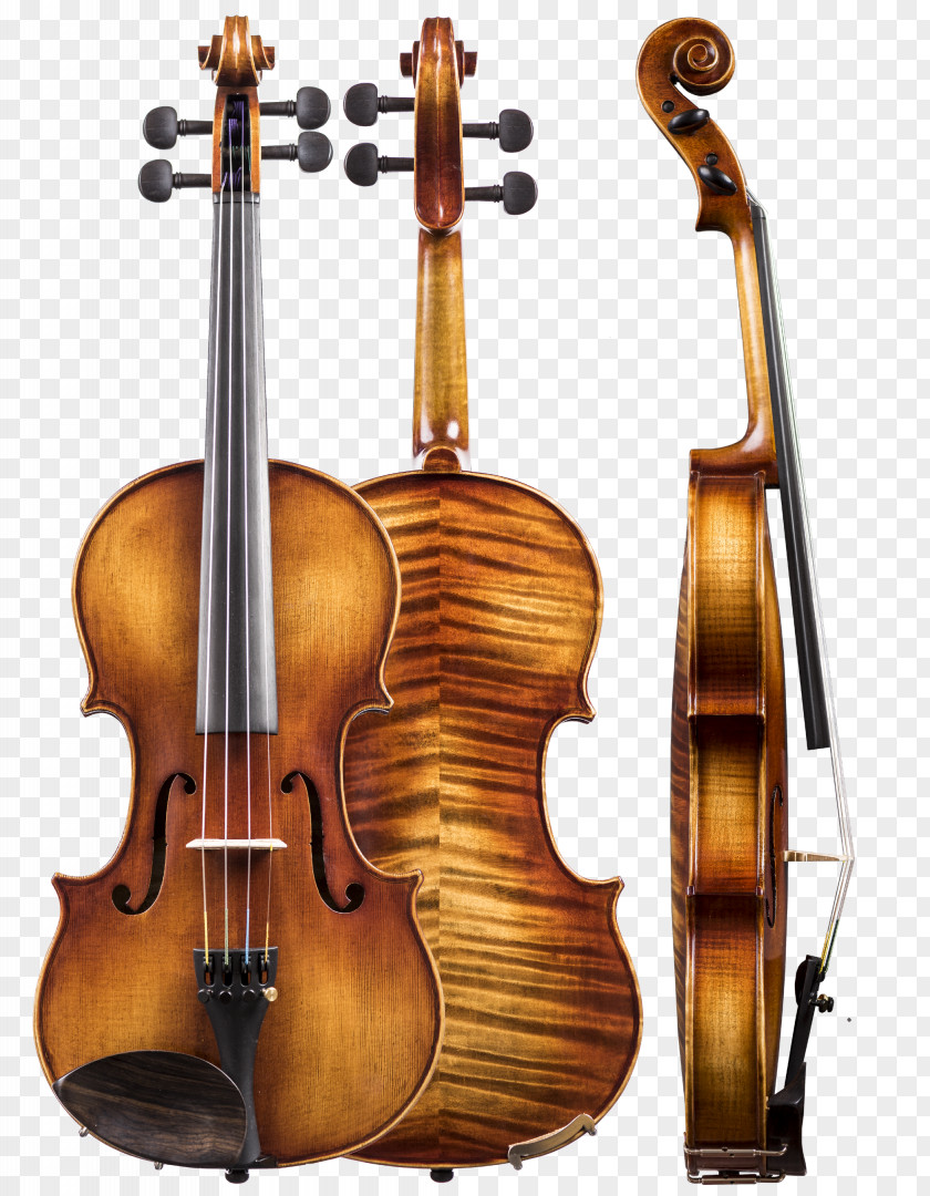 Violin Musical Instruments Double Bass Viola Cello PNG