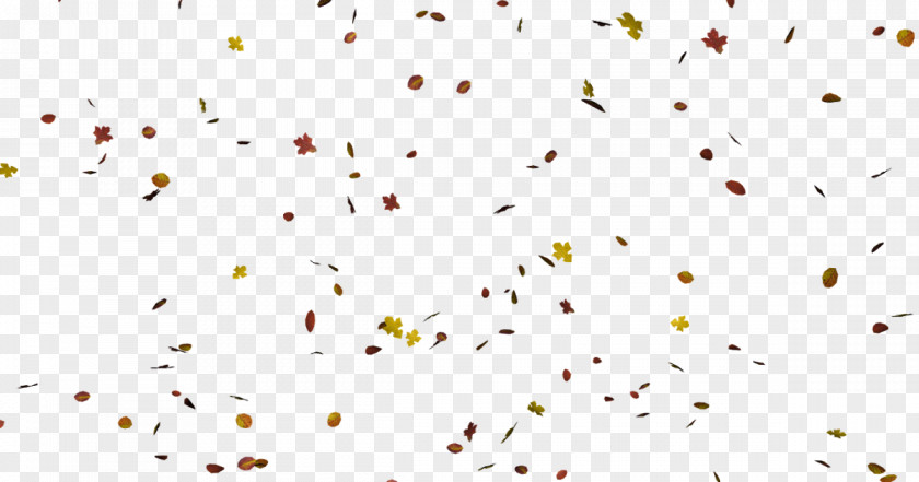 Autumn Point Line Leaf Petal PNG