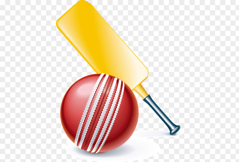 Baseball Vector Material Cricket Ball Bat PNG