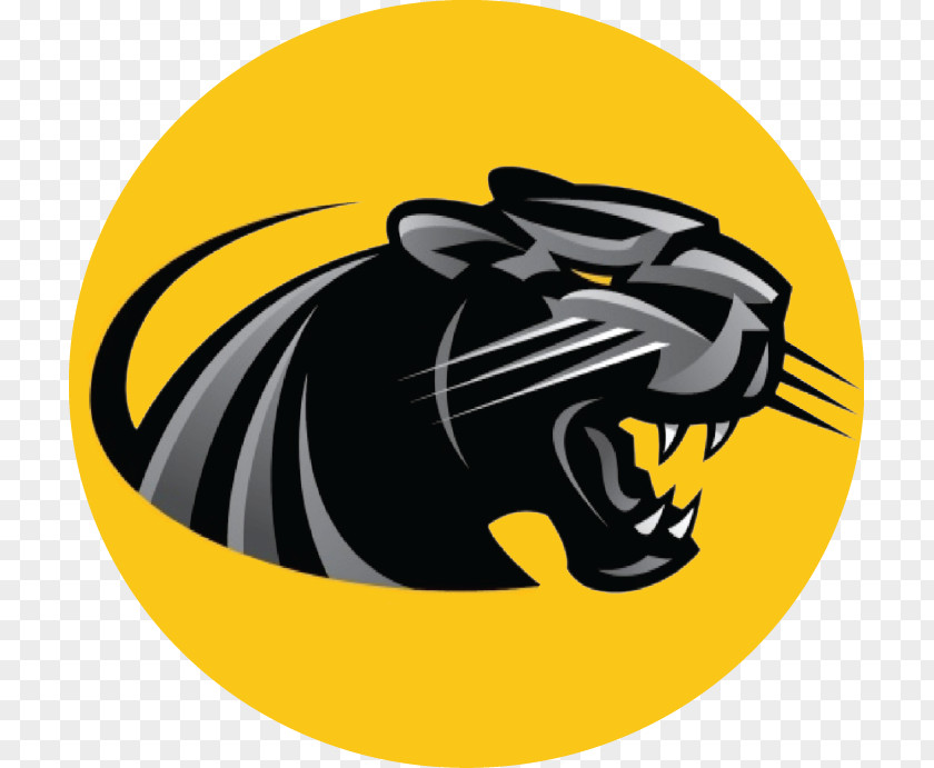 Black Panther Milwaukee Panthers Men's Basketball Women's University Of Wisconsin–Milwaukee Clip Art PNG