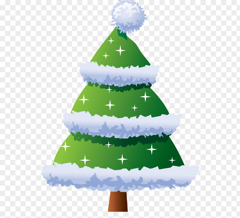 Evergreen Spruce Christmas And New Year Background PNG