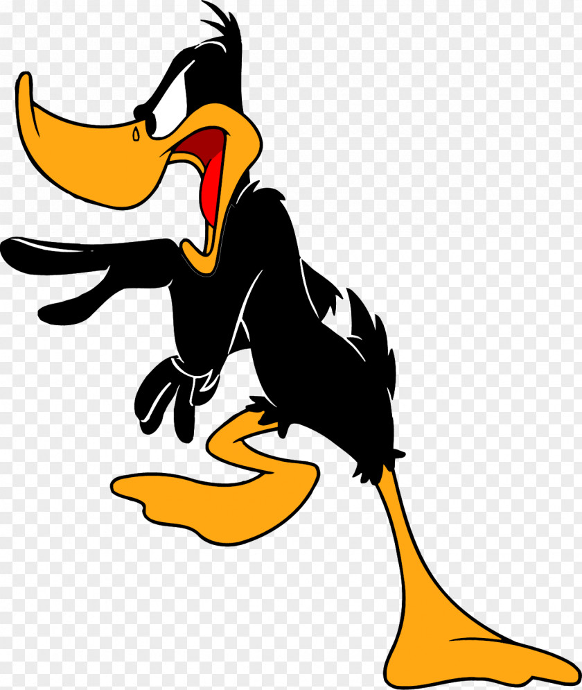 Looney Tunes Daffy Duck Donald Cartoon PNG