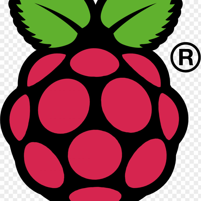 Rasberry Raspberry Pi 3 Raspbian Computer PNG